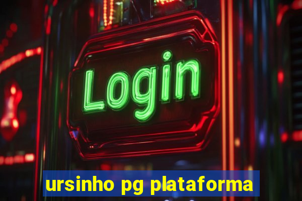 ursinho pg plataforma